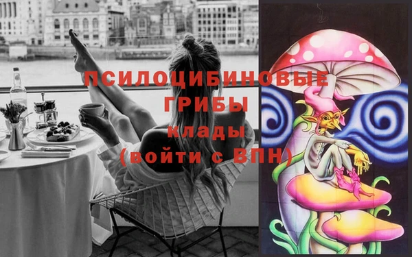 индика Вязьма